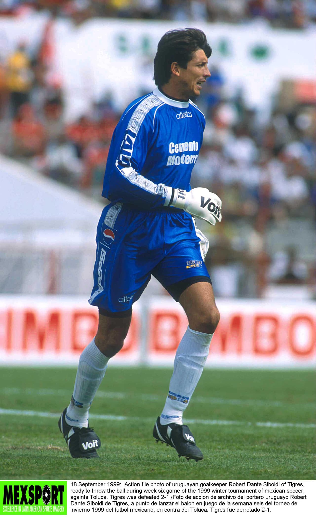 Robert Dante Siboldi.