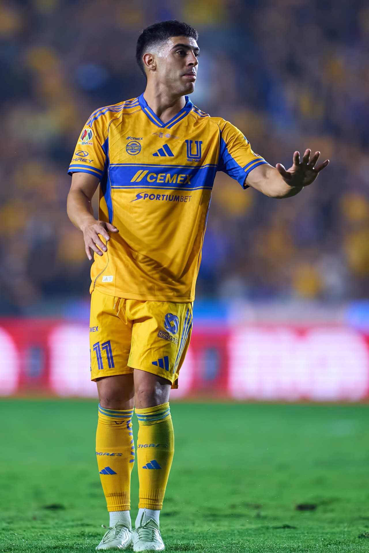 Torneo Apertura 2025