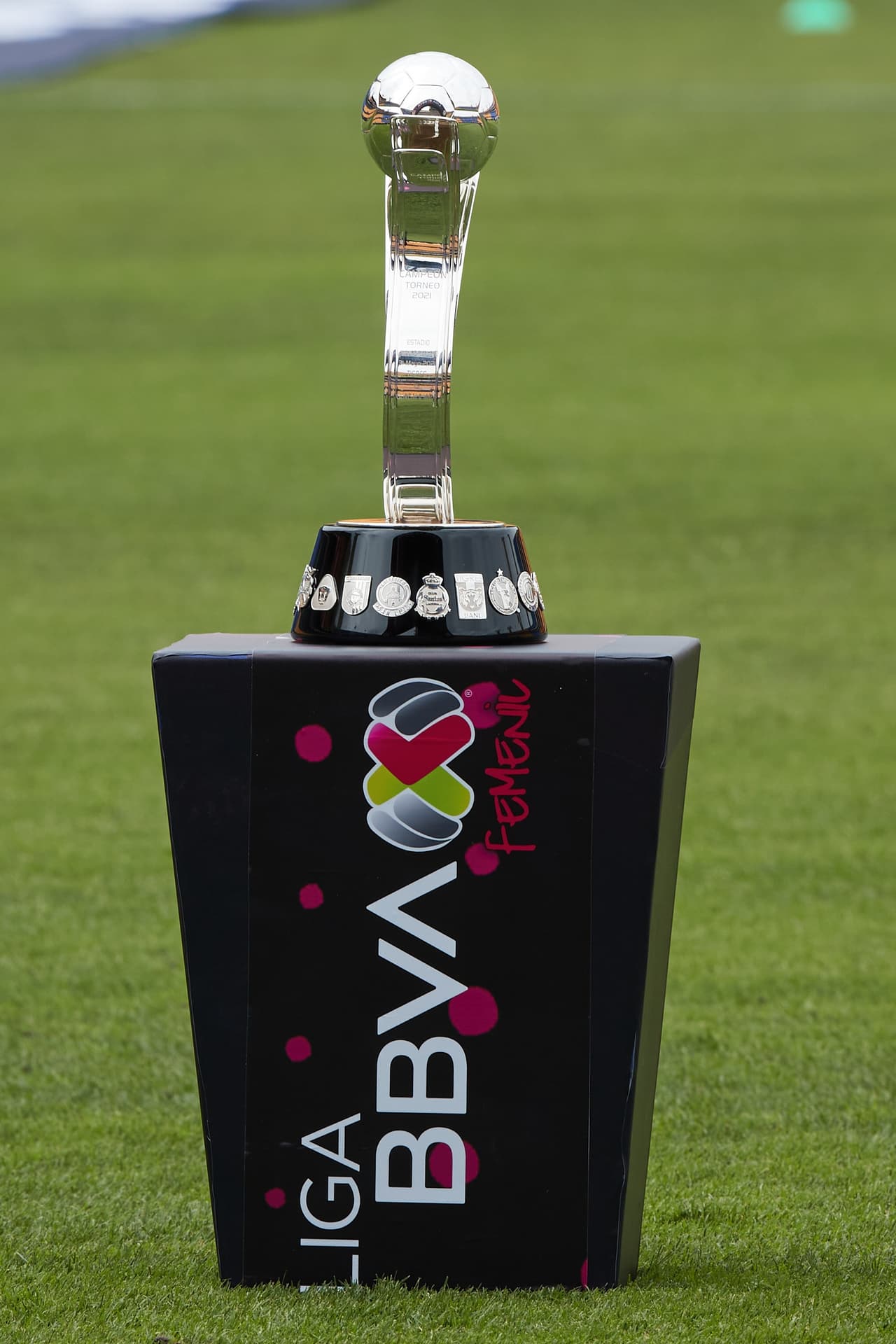 Tigres no dio oportunidad a las Chivas para reaccionar y con un contundente triunfo en la vuelta consiguió el bicampeonato.