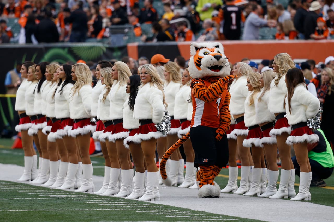 Las más hermosas de Cincinnati dentro del emparrillado en la Semana 14. ¡Chéca qué Bengals!