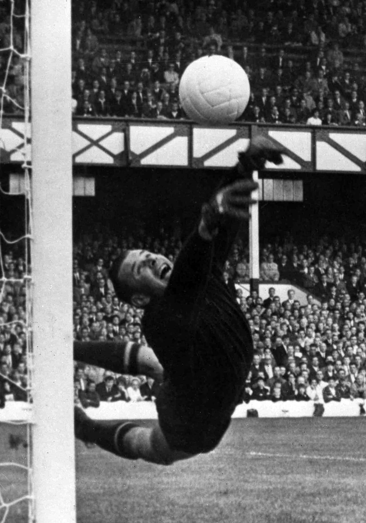 Su mejor presentación en un torneo internacional fue la Euro de 1960 que consiguió con su país.