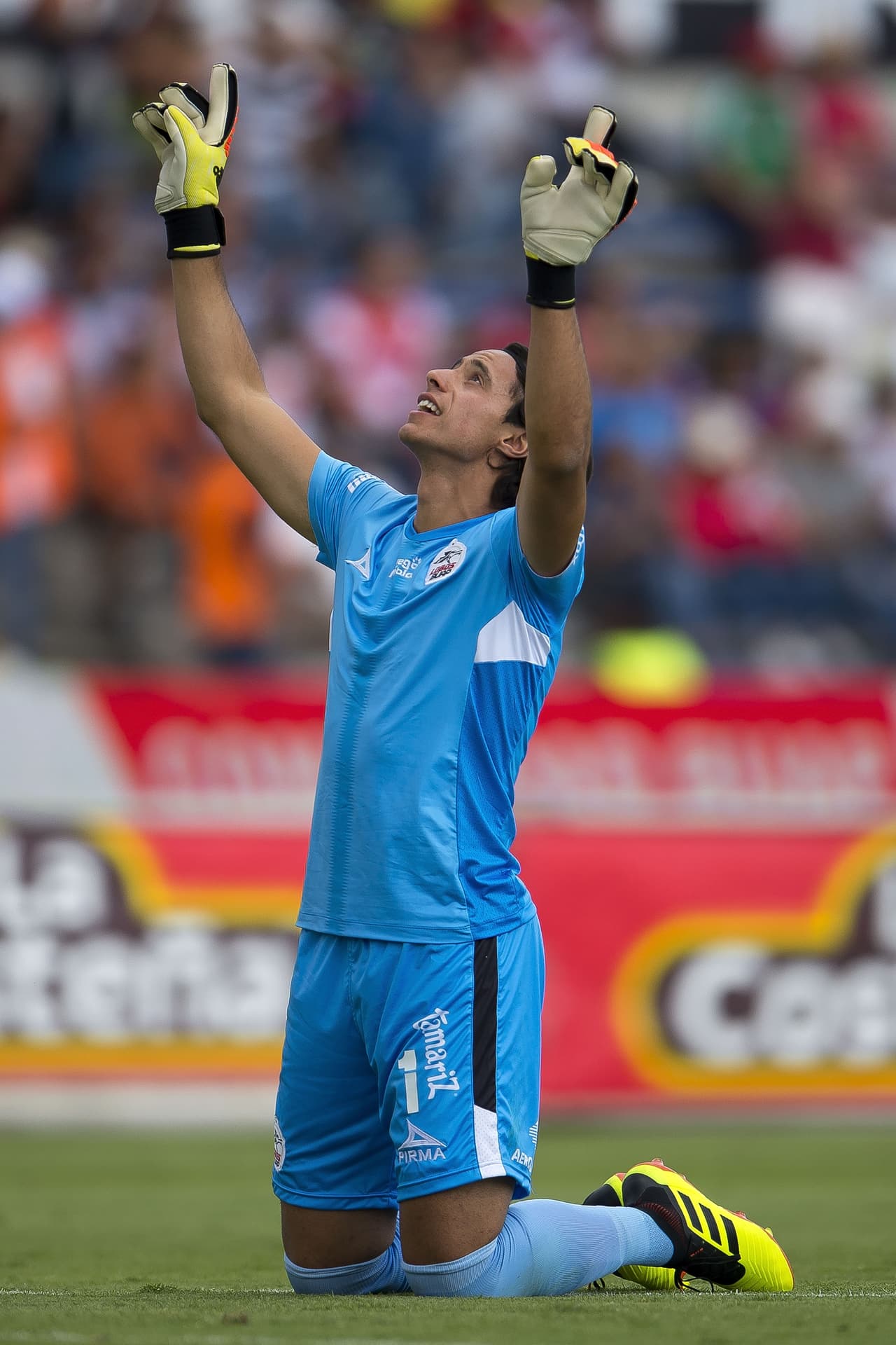 Rodríguez actualmente ha tenido un buen torneo en Lobos BUAP.