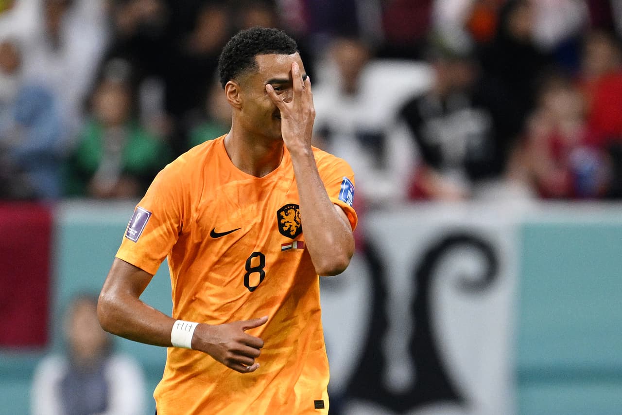 Países Bajos venció 2-0 a Catar con goles de Cody Gakpo (26’) y Frenkie de Jong (49’) para terminar de líder del Grupo A del Mundial Qatar 2022.