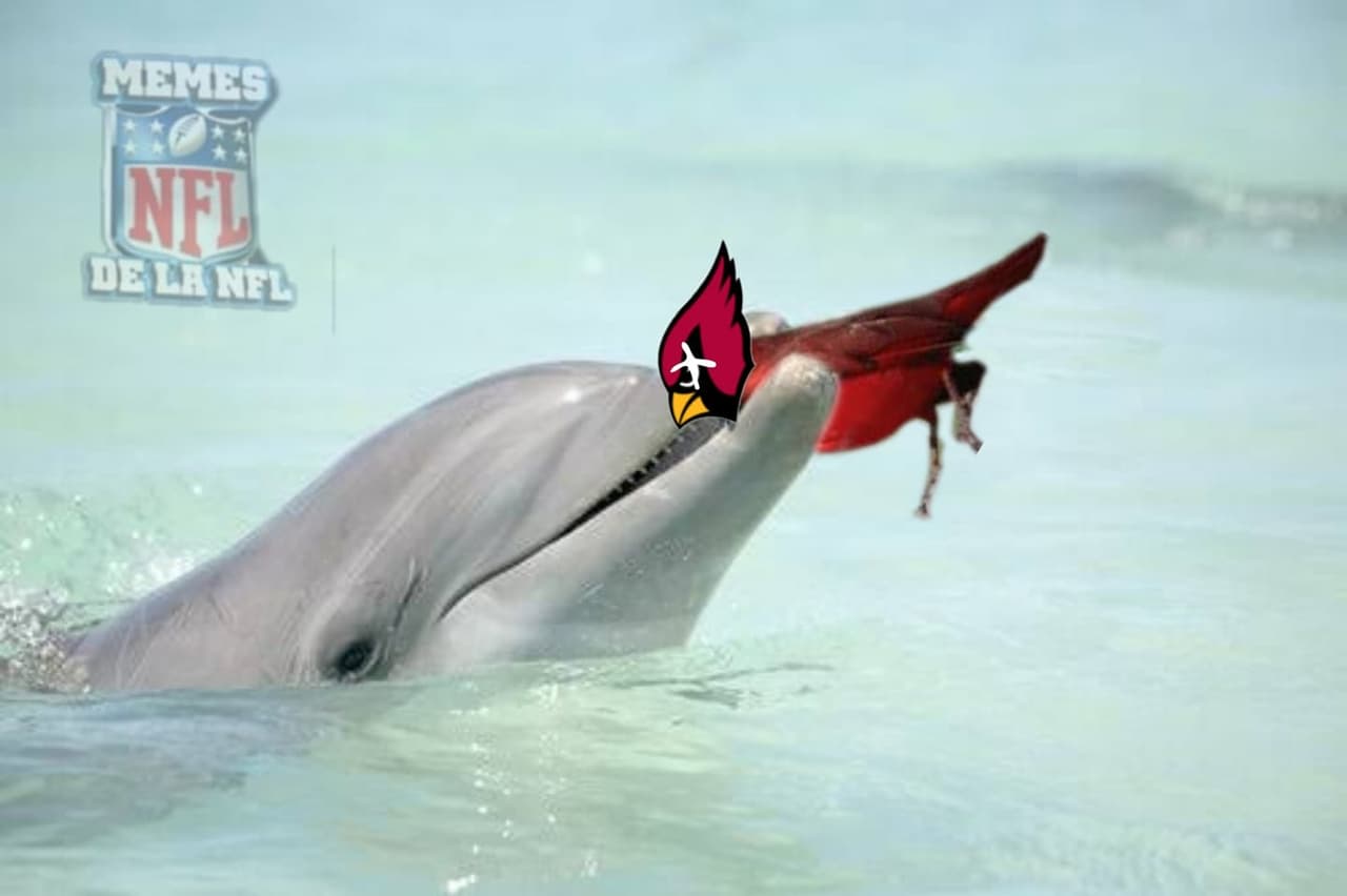 Con resultados abrumadores y sopresas increíbles, los memes de la semana nueve en la NFL llegan con mejor humos que cualquier semana.