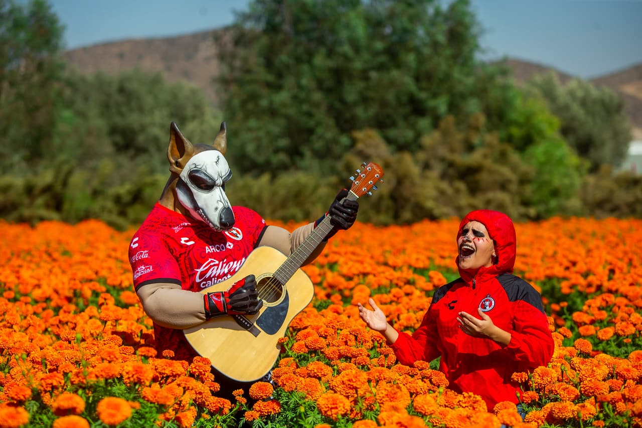 Equipos de diversos deportes, desearon feliz Día de Muertos, tradición mexicana que le ha dado la vuelta al mundo.