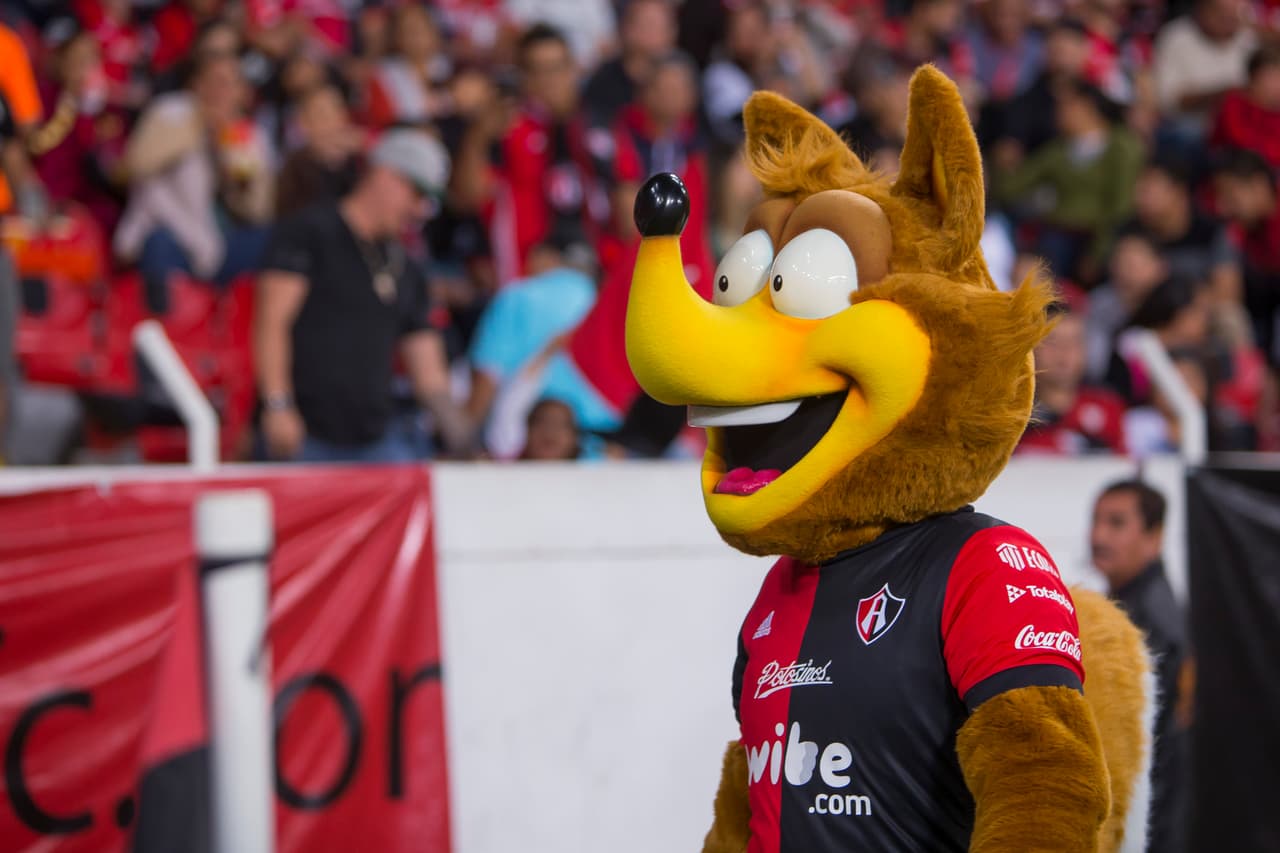 El alegre ‘Zorro’ del Atlas.