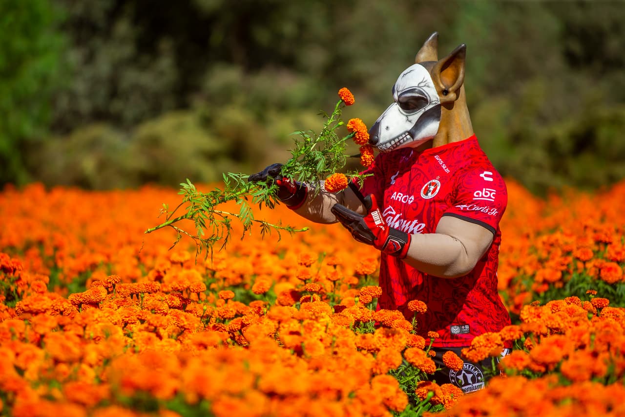 Equipos de diversos deportes, desearon feliz Día de Muertos, tradición mexicana que le ha dado la vuelta al mundo.