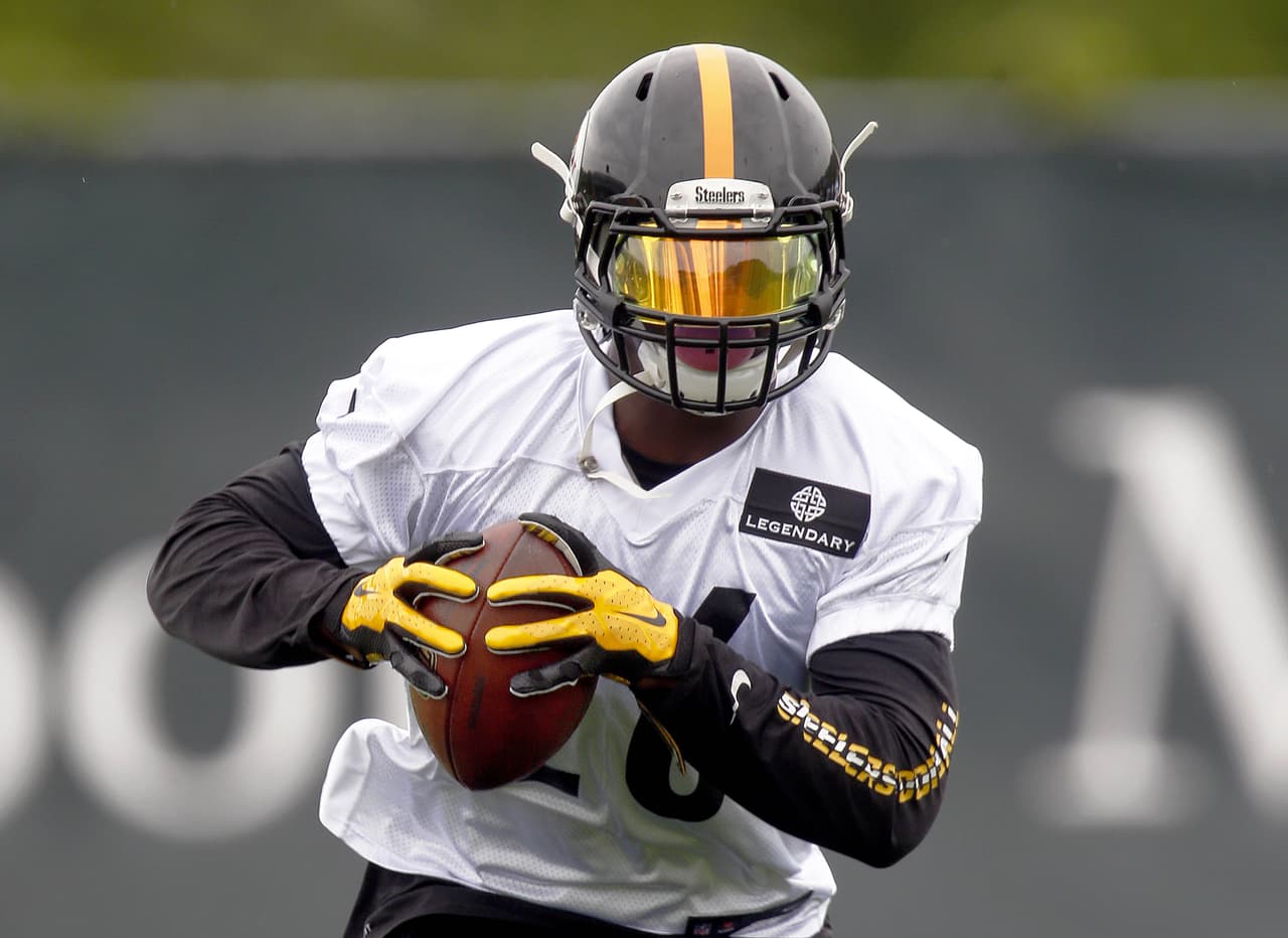 Proyecto de Titulares 2015: Pittsburgh Steelers