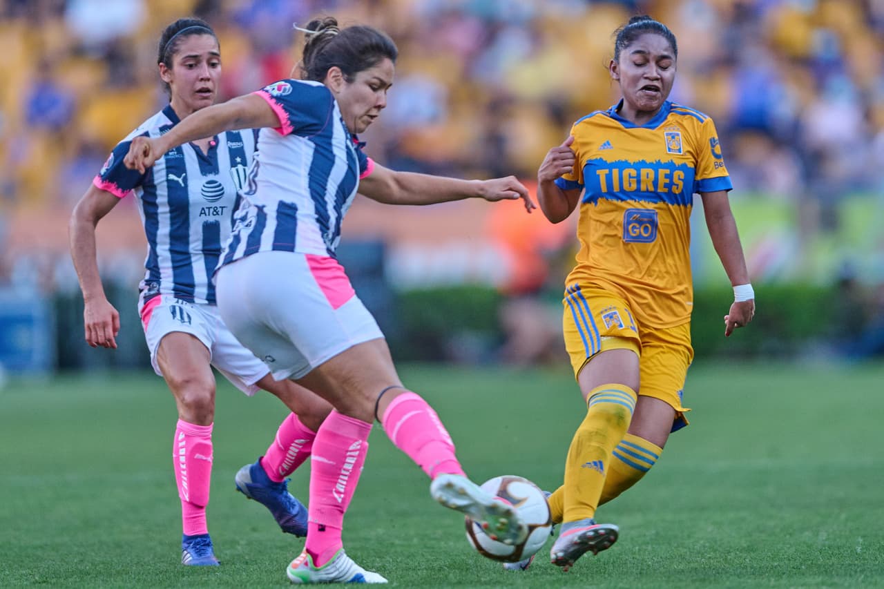 Tigres fue muy superior y consiguió su boleto a la serie definitiva por el título con autoridad.