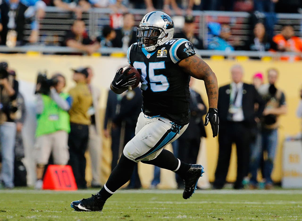 Mike Tolbert (fullback) Universidad: Coastal Carolina Ano en el que no fue seleccionado en el Draft: 2008 Elecciones al Pro Bowl: 2