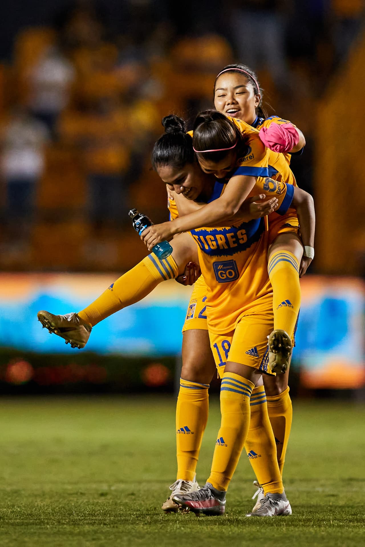 Tigres fue muy superior y consiguió su boleto a la serie definitiva por el título con autoridad.