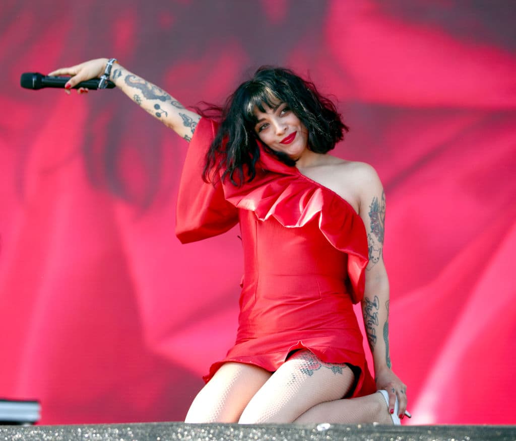 Los seguidores de la cantautora chilena tienen un nuevo motivo para estar contentos.