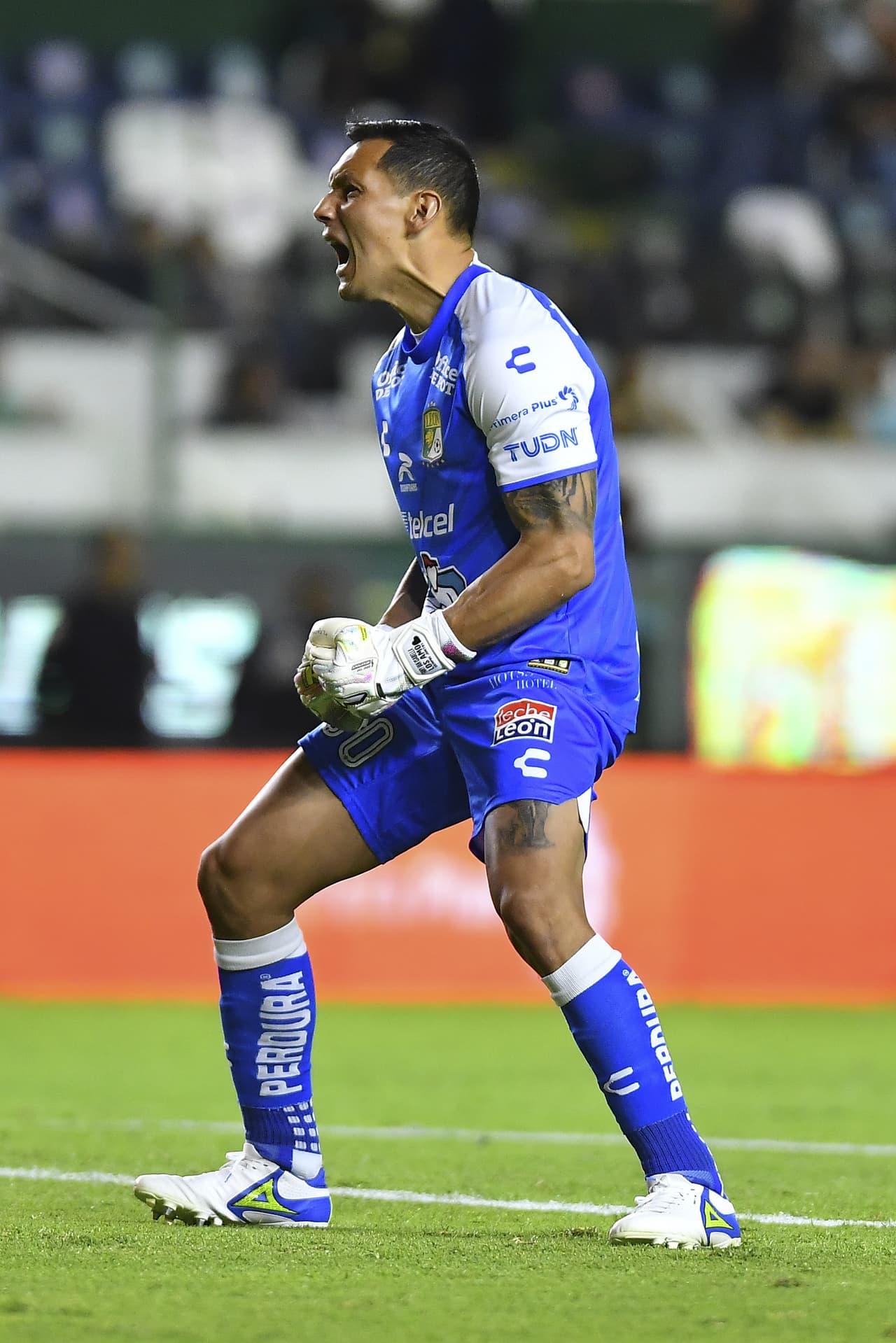 Cota celebró con todo.