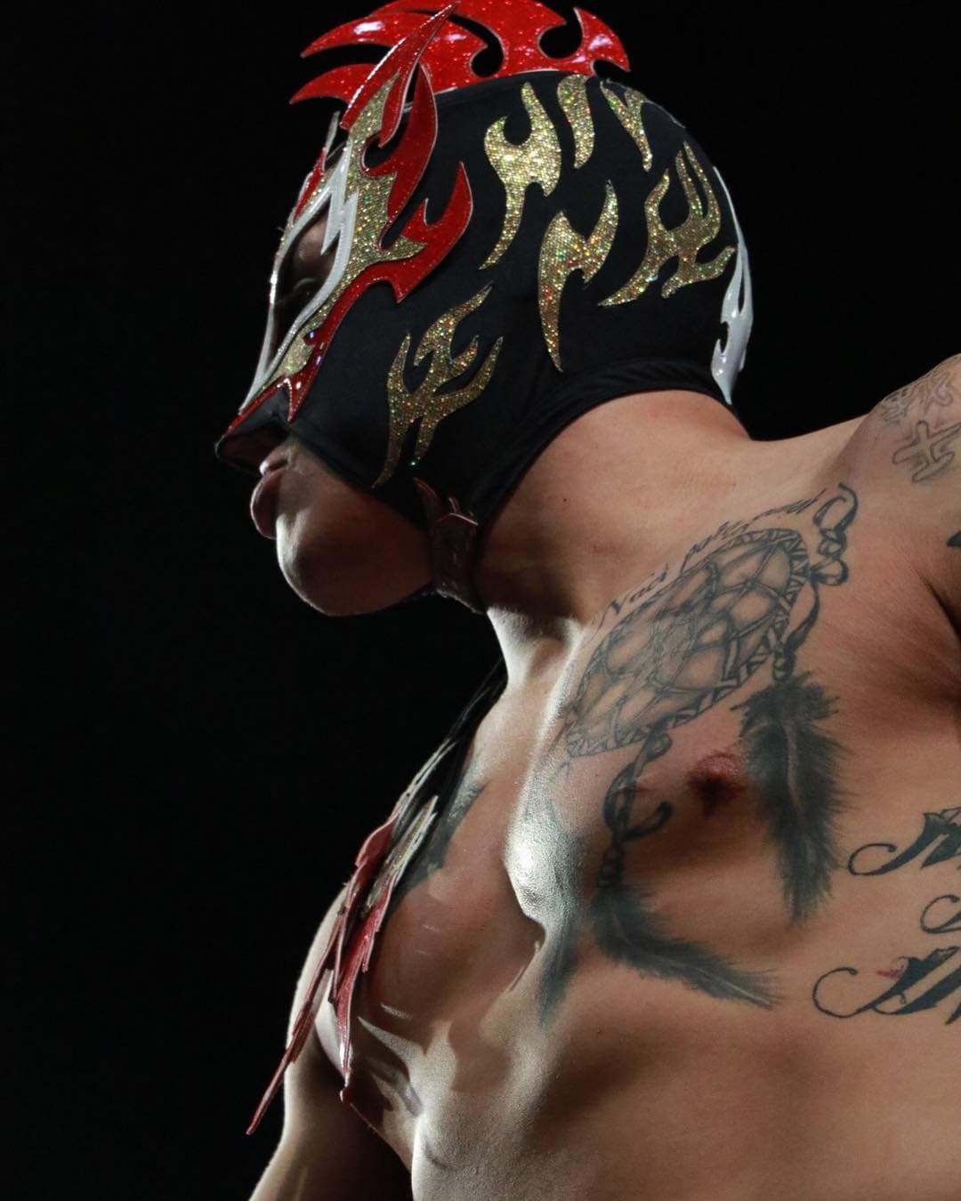 En AAA el actual Megacampeón es
<b>Fénix</b>, luchador mexicano de 27 años que ha trabajado también en Japón y en más empresas del circuito independiente como Lucha Underground, Impact Wrestling y CMLL.