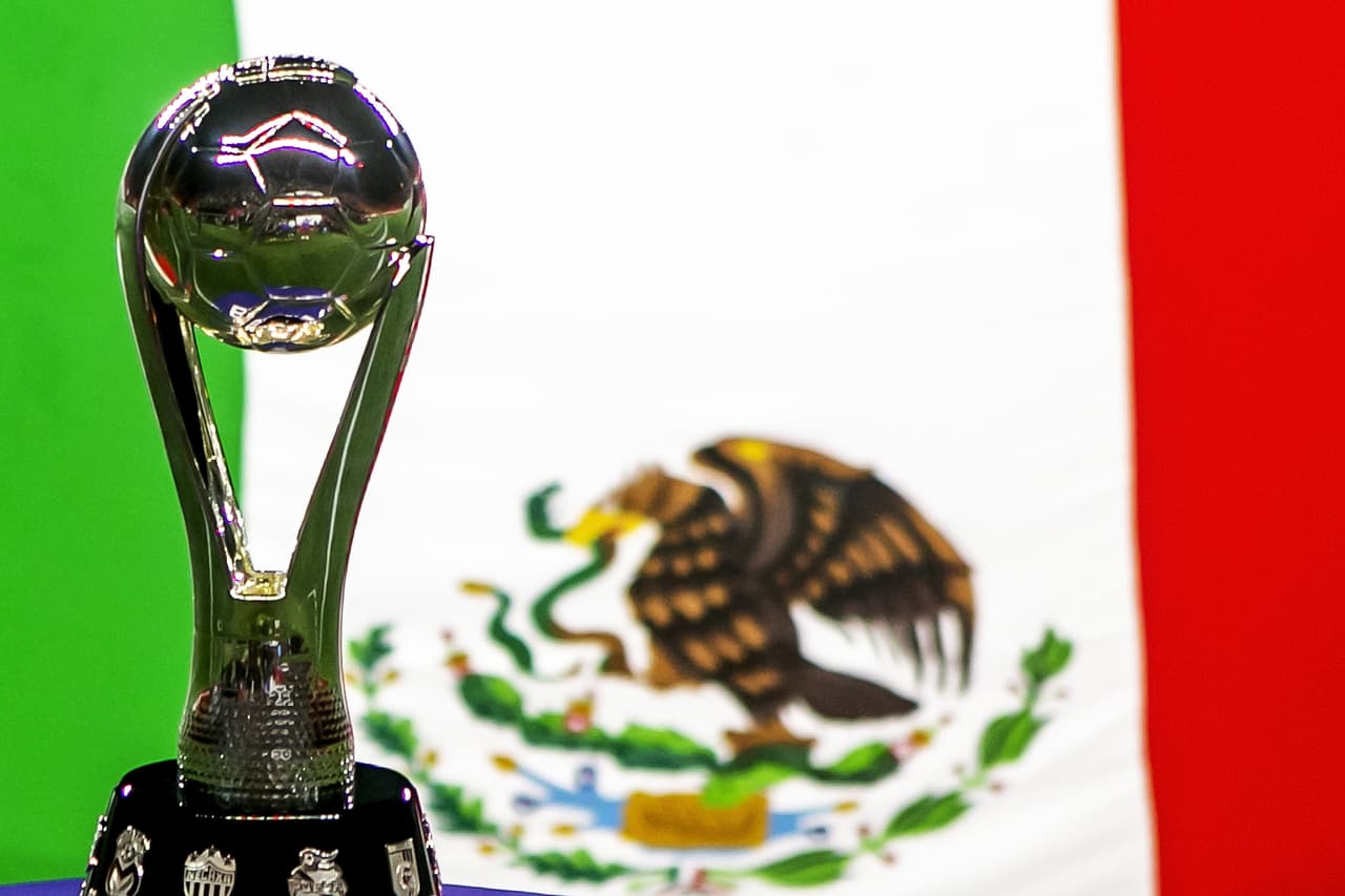 Hasta el momento se han disputado 47 torneos cortos en la historia de los torneos de Liga del futbol mexicano.