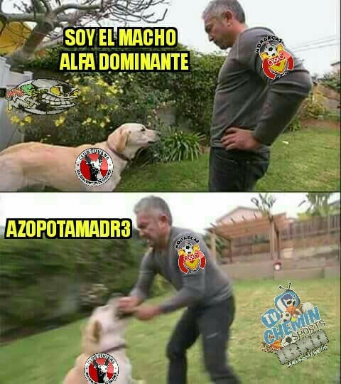 Atlas y Morelia protagonizaron las burlas en las redes sociales tras su eliminación en la liguiilla.