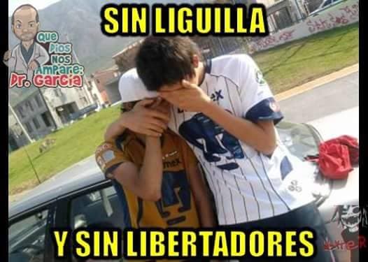 Los Pumas perdieron en la ida de los cuartos de final de la Copa Libertadores ante Independiente del Valle y los memes no faltaron.