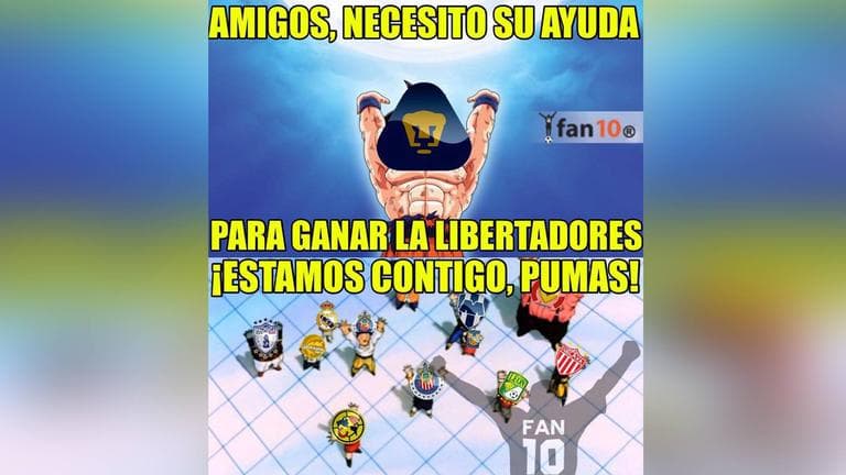 Los Pumas perdieron en la ida de los cuartos de final de la Copa Libertadores ante Independiente del Valle y los memes no faltaron.