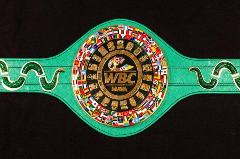 Tyson Fury y Otto Wallin pelearon el 14 de septiembre de 2019 por el cinturón Maya II.