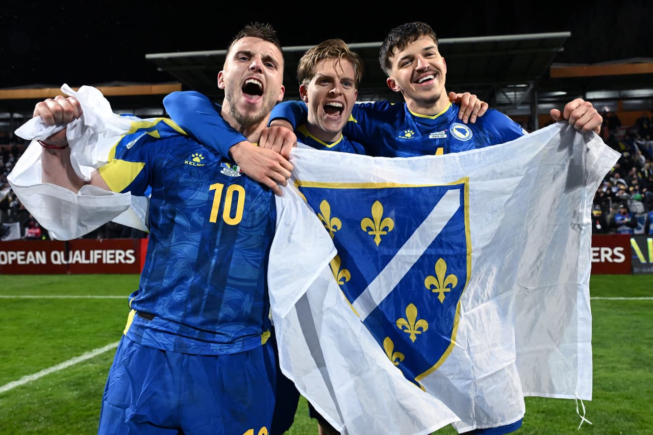La mejor actuación de la Selección de Bosnia y Herzegovina en una Copa Mundial FIFA