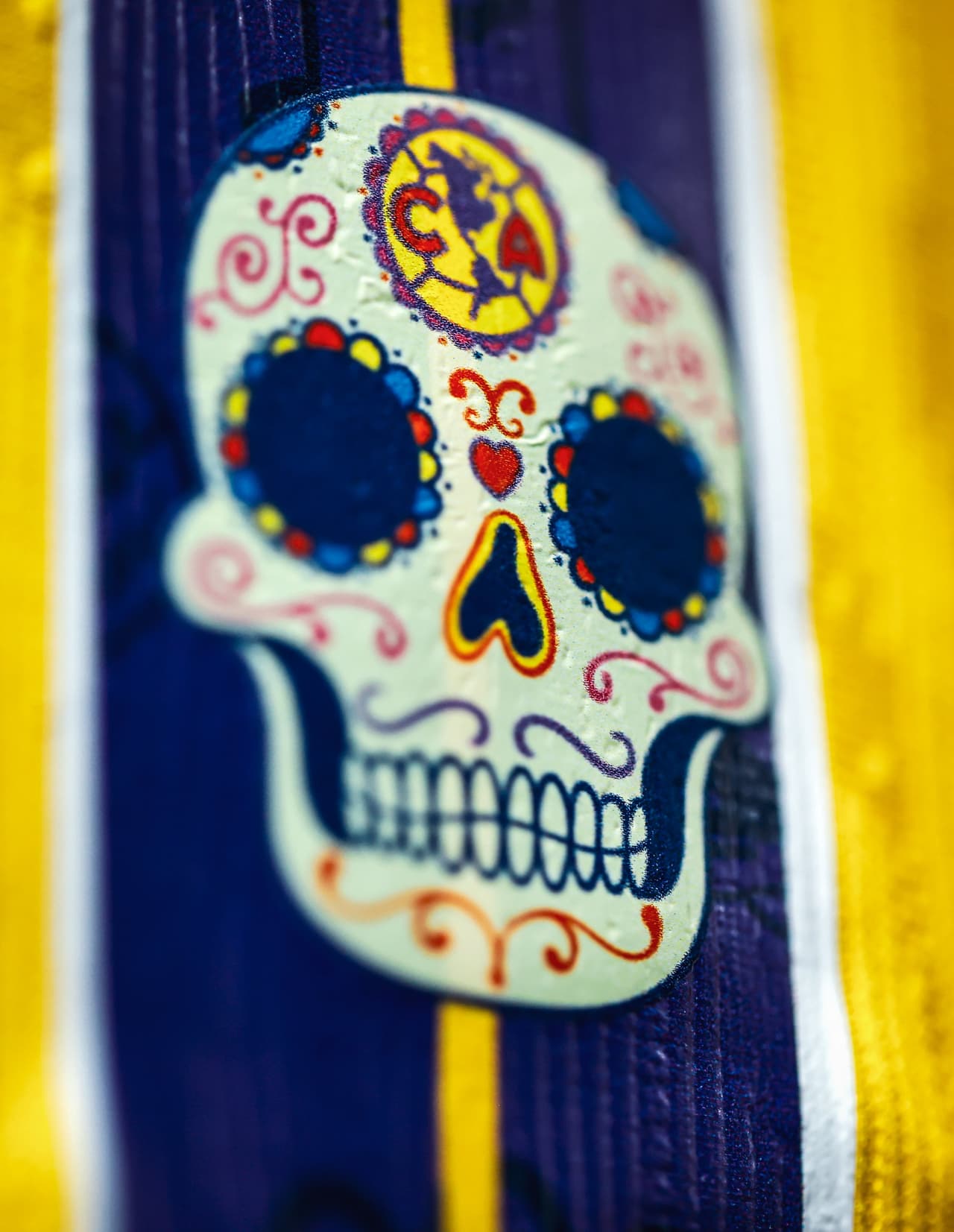Día de Muertos América