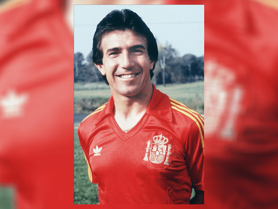 Formó parte de la selección de España, jugó dos Copas del Mundo (Argentina 1978 y España 1982) y una Eurocopa Italia 1980. Sumó un total de 34 partidos internacionales.