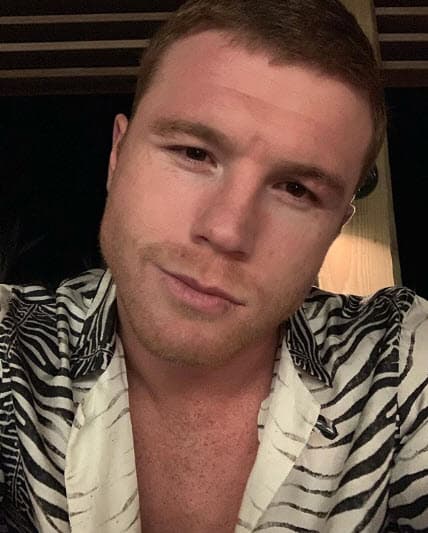 El mexicano tiene cuatro hijos de diferentes relaciones y se encuentra casado con la modelo Fernanda Gómez.