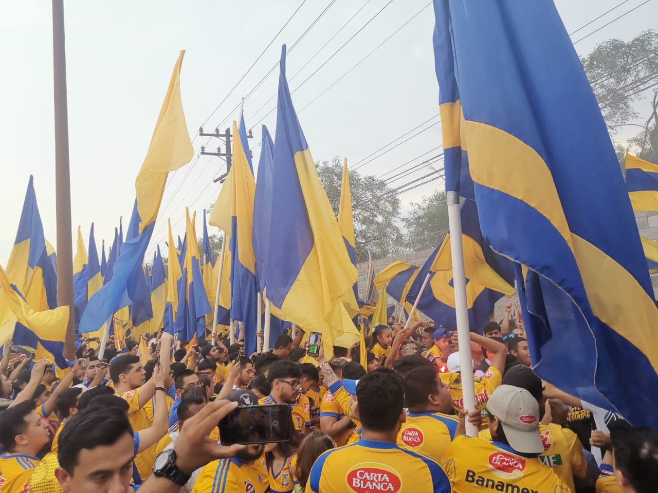 Fantástico ambiente el que crearon los fieles aficionados de los Tigres ante la llegada de su amado equipo a los alrededores del Estadio Universitario. ¡Miren qué colorido!