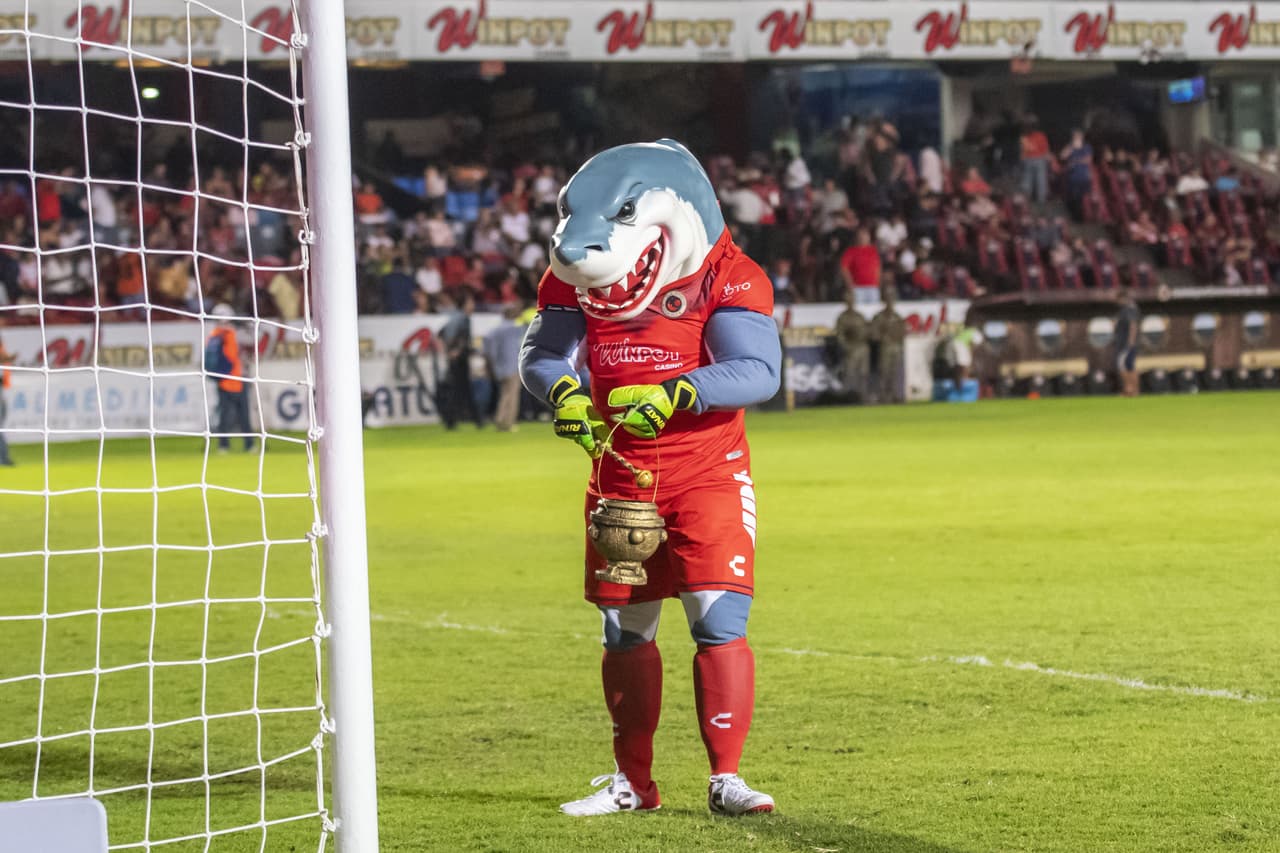 El ‘Tibu’ limpiando la energía del puerto.