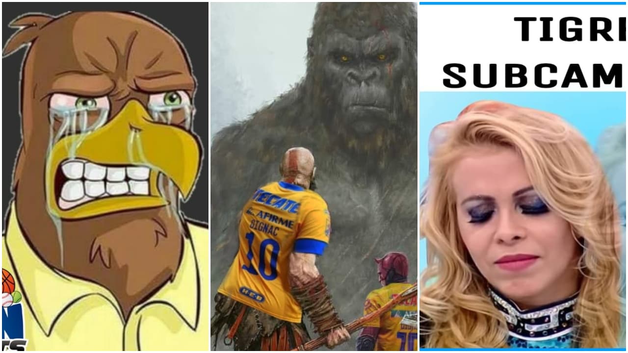 Los memes tunden a los Tigres tras caer ante Bayern | Las reacciones en redes sociales no se hicieron esperar luego de la derrota de los del ‘Tuca’ en el Mundial de Clubes.