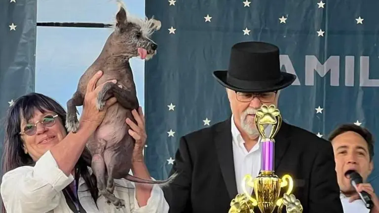Conoce al perro más feo del mundo que ganó un concurso Video Univision San Francisco KDTV