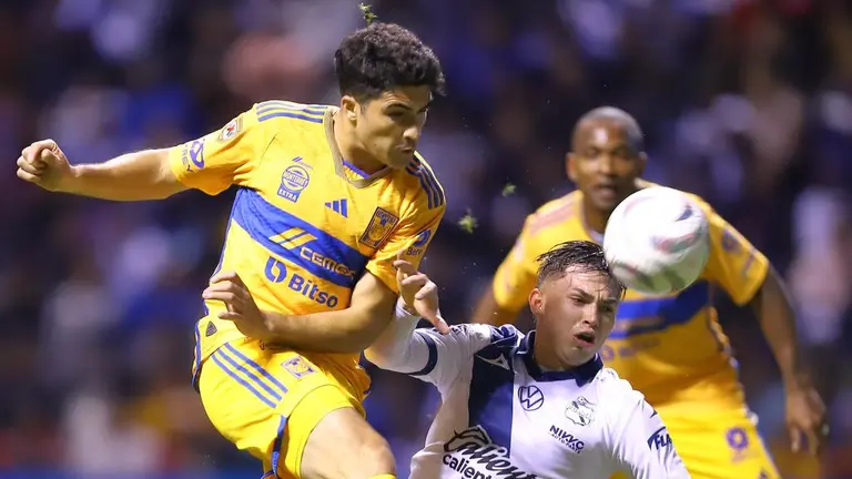 Puebla Vs Tigres: Últimas Noticias, Videos Y Fotos De Puebla Vs Tigres ...